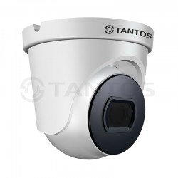 Антивандальная камера Tantos TSc-E1080pUVCf