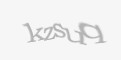Защитный код